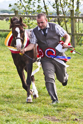 horse trials photography