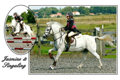 equestrian montage photography