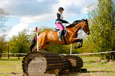 equestrian photographer