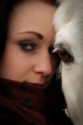 pet horse phtographer